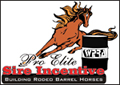 WPRA's Stallion Incentive Program
