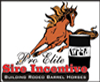 WPRA's Stallion Incentive Program