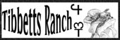 tibbettsranch.com